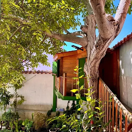 By The Sea Tisno, Murter - 14346 *